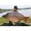 Dynamite Baits ROBIN RED Boilies 5kg/20mm