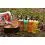 DYNAMITE BAITS Swim Stim Sticky Pellet Syrup BETAINE GREEN 300ml