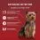 Purina ONE Mini Dog Adult saszetki dla ps&oacute;w kurczak, wołowina, jagnięcina w sosie 10x85 g