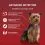 PURINA ONE MINI Dog Active Wołowina i kaczka w soku 10 x 85 g
