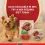 PURINA ONE MINI Dog Active Wołowina i kaczka w soku 10 x 85 g