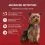 PURINA ONE MINI Dog Sensitive Łosoś w soku 10 x 85 g