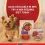 PURINA ONE MINI Dog Sensitive Łosoś w soku 10 x 85 g
