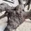 WIO Black Tree Trunk Wood &ndash; drewno do akwarium M
