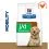 Hill's Prescription Diet Canine j/d Reduced Calorie 12 kg + 2x przekąski GRATIS