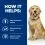 Hill's Prescription Diet Canine j/d Reduced Calorie 12 kg + 2x przekąski GRATIS