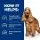 Hill's Prescription Diet Canine z/d AB+ 3 kg + przekąski GRATIS