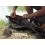ZFISH Z-CORE 2 Rods Holdall 9ft/155cm