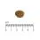 Eminent Selection Adult Cat Poultry 10+4 kg GRATIS