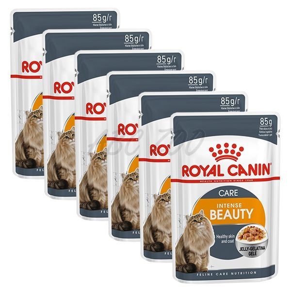 Royal Canin intense Beauty Jelly. Роял Канин Бьюти желе. Корм для кошек Royal Canin intense Beauty для профилактики мкб, мясное ассорти, Рыбное ассорти 85 г. Royal Canin intense Beauty в соусе калорийность.