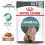 Royal Canin Hairball Care Gravy saszetki dla kot&oacute;w w soku 24 x 85 g