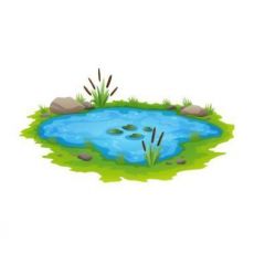 Stawiki - Black Friday