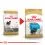 ROYAL CANIN YORKSHIRE JUNIOR 7,5 kg