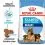 ROYAL CANIN MAXI STARTER MOTHER AND BABY DOG 15 kg