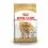 ROYAL CANIN ANGOL BULLDOG 12kg
