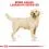 ROYAL CANIN LABRADOR RETRIEVER 3 kg