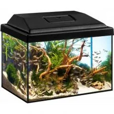 Akwarium DIVERSA STARTUP SPLASH 12L + 3W LED