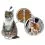 BEAPHAR IMMO SHIELD Line-on KOT 3 x 1 ml