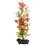 Ludwigia repens ( Red Ludwigia) - roślina Tetra 15 cm, S