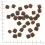 WOLFSBLUT Wild Duck Small Breed 2 kg