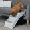 Plastikowe schody Pet Stairs 34 x 39 cm, siwe