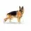 ROYAL CANIN OWCZAREK NIEMIECKI 11 kg