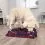 Zabawka strategiczna Dog Activity Sniffing Carpet
