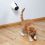 Zabawka dla kotów - laserowe światełko, 11 cm