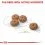 ROYAL CANIN Mini Sterilised Adult 3 kg