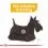 ROYAL CANIN Mini Dermacomfort 3 kg