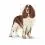 ROYAL CANIN MEDIUM Light Weight Care 12 kg