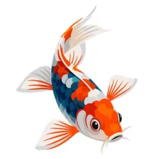 Karpie koi i karasie