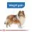 ROYAL CANIN MAXI Light Weight Care 12 kg