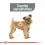 ROYAL CANIN Mini Dental Care karma dla ps&oacute;w ograniczająca tworzenie się kamienia nazębnego 3 kg