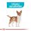 Royal Canin Mini Urinary Care dla psów z wrażliwym układem moczowym 3 kg