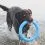 Zabawka dla psa Pitch Dog 28 cm, niebieska