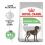 Royal Canin Maxi Digestive Care karma dla dużych psów z wrażliwym układem trawiennym 12 kg