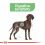 Royal Canin Maxi Digestive Care karma dla dużych psów z wrażliwym układem trawiennym 12 kg