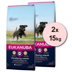 Eukanuba Developing Junior Large Breed 2 x 15 kg