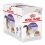 Royal Canin STERILISED in Jelly w galarecie 12 x 85 g