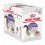 Royal Canin STERILISED in Jelly w galarecie 12 x 85 g
