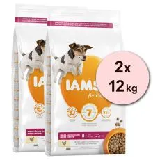 Iams Dog Senior Small Medium, Chicken 2 x 12 kg