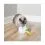 PetSafe FroliCat Peek-a-Bird - zabawka dla kot&oacute;w