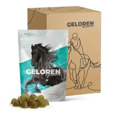 Geloren HA preparet odżywiający stawy dla koni jabłko 1350 g (3 x 450 g)