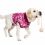 Odzież pooperacyjna dla psa M+ kamuflaż różowa