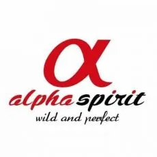 ALPHA SPIRIT - Karma sucha dla psa