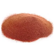 Artemia