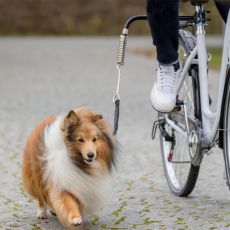 Zestaw dla rowerzystów, w celu przymocowania psów do roweru