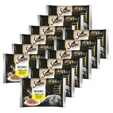 Sheba Delicacy Drobiowa selekcja saszetek 12 x (4 x 85 g)