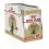 Royal Canin British Shorthair saszetki dla kot&oacute;w brytyjskich kr&oacute;tkowłosych w soku 12 x 85 g